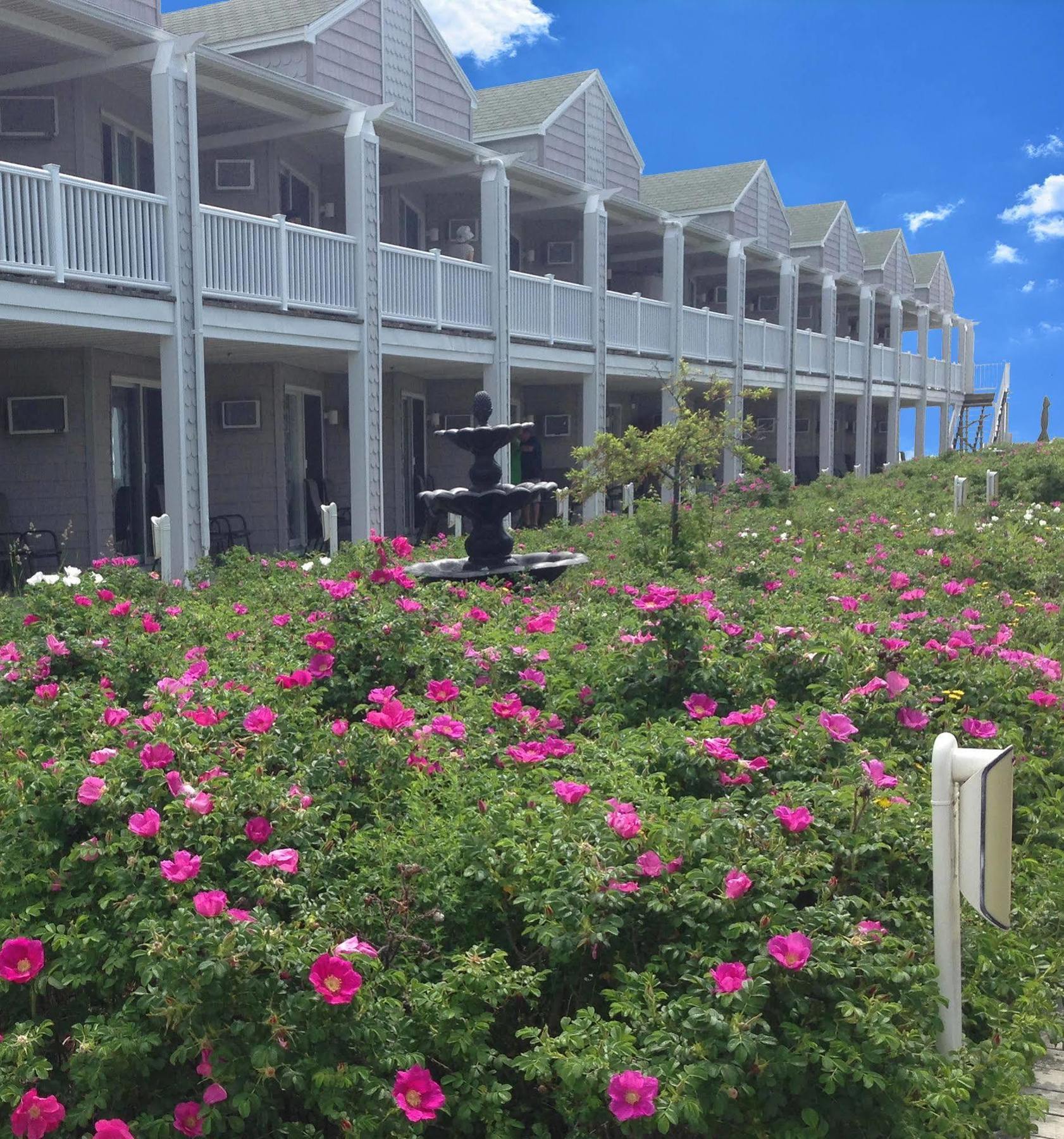 Ocean Walk Hotel Old Orchard Beach Exteriör bild